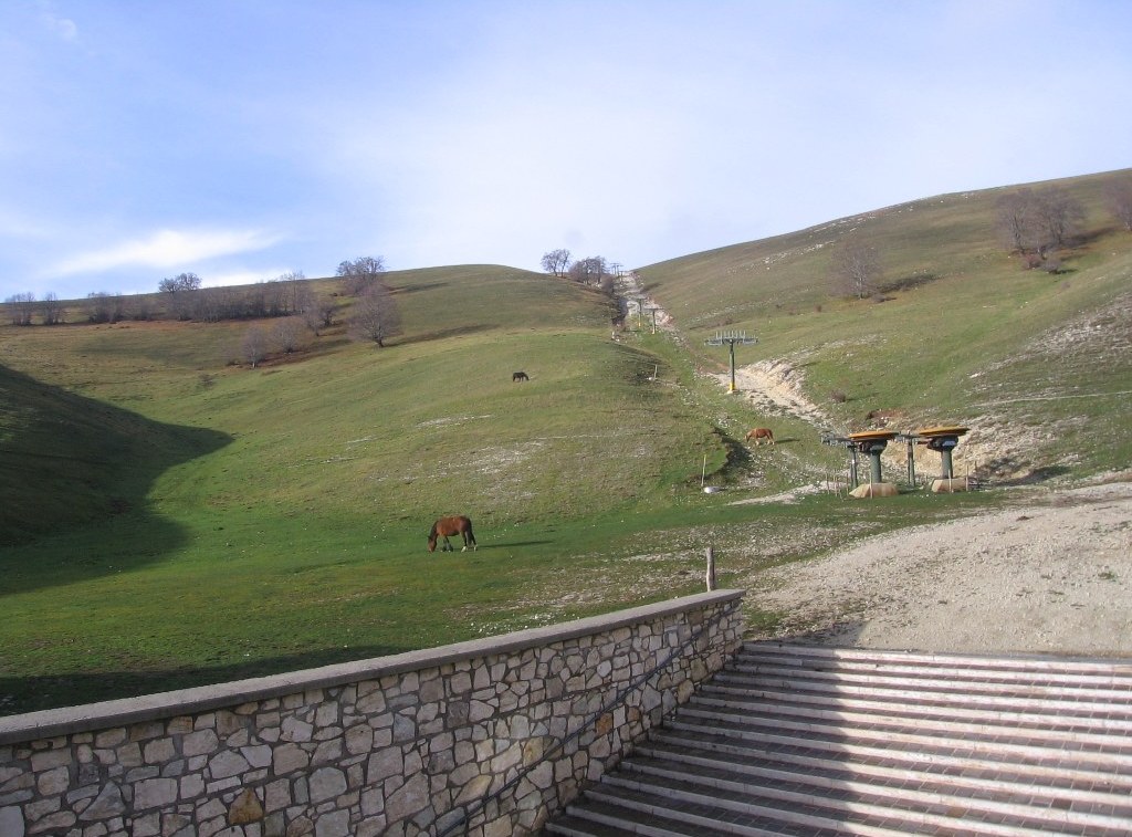 Selvarotonda Monte San Venanzio